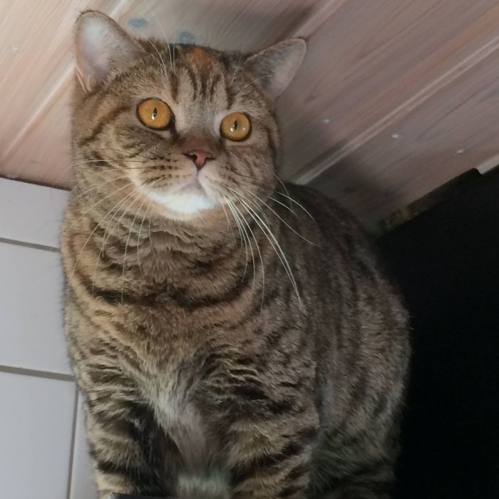 Hulda